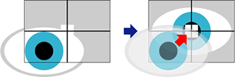 自動瞳孔追尾機能による高速処理イメージ